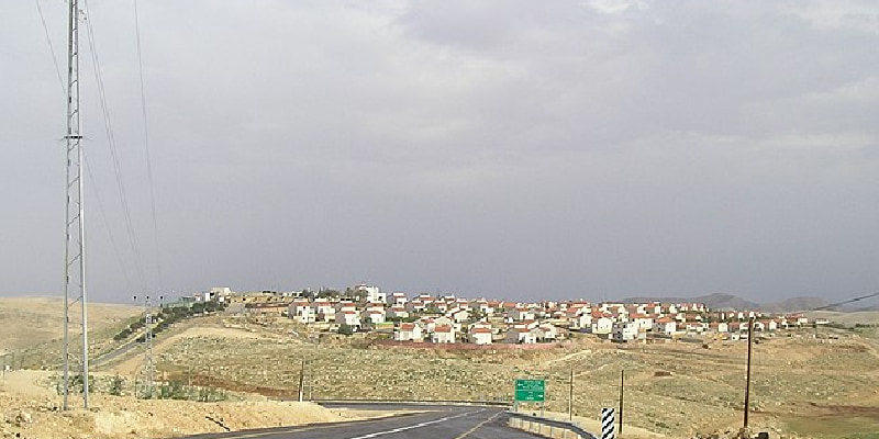 עולם לשוני ייחודי של נוער הגבעות